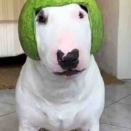 waltermelon