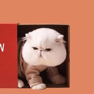 我的枪只瞄准没有枪的人