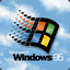Windows 95™