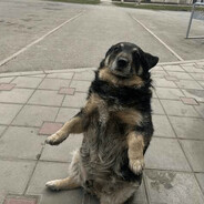 просто крутой чув