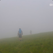 跟着大王去巡山