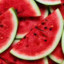 WATER MELON