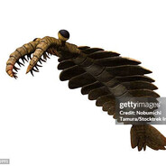 anomalocaris