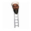 OsamaBinLadder