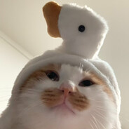 通达路在逃电摩