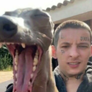givemehead avatar