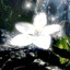 ᛃZvO2L/'S;zFL2|01l/l;'s avatar