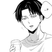 levi