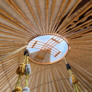 poxrn - steam id 76561199824222215