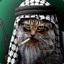 Kot_Alax