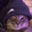 ISteelToast