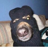 russiN