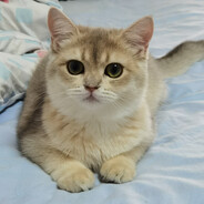 我们阿森纳是不可战胜