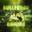 Bullfrogg_Gaming