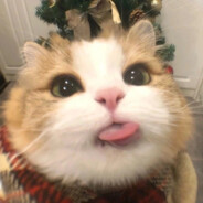 卡带发型有点乱