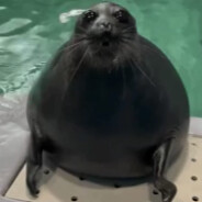 jim
