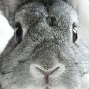Worst Sniper Ever - steam id 76561197971781695