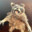 Jerald Stank's Avatar