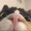 umi