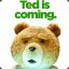 -Teddy-