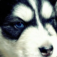 人老枪马反应慢