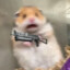 Wxxxxxy