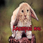 дмитрий мчс