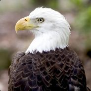 One-niner - steam id 76561197960512004