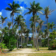 Блочка-еблан