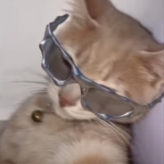 好名字都被起了