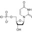 Deoxyuridine monophosphate