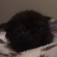 要是我的枪法和我的牛子一样硬就好了