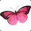 Pretty Pink Butterfly