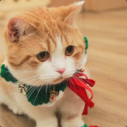 在家看挺好的！