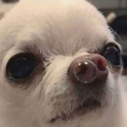 OwtaCtrl | 유효하지 않은