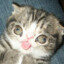 dawid.dkp