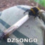 Dzsongo