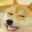 Sea Pignoy Dog