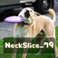 NeckSlice_79