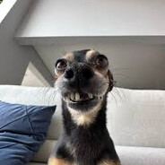 BigCheeze