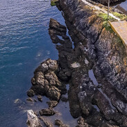 终不似少年游戏