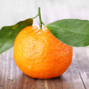 not orange