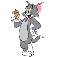 ToM&