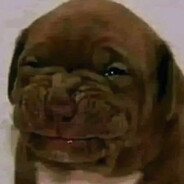 Vammauttaja's avatar