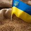 Тапки
