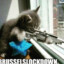 THE SNIPER