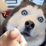 香草铜盐和具如