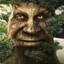 Wise Trea