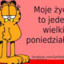 Small Polish Garfield(fake)