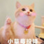小草莓投降
